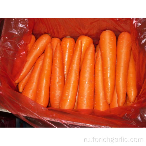 Размеры80-150г свежая морковь в картонной упаковке